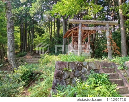 一座設有鳥居和山路的神社。 141299718