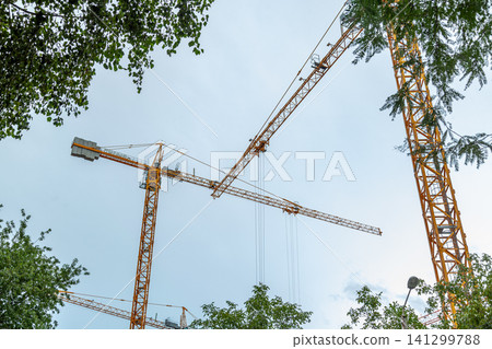 Yellow construction cranes against sky framed by green trees Yellow construction cranes against sky framed by green trees 141299788