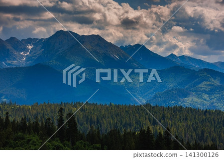 Sunlit green mountain valley with meadow, forested slopes in Zakopane Tatras mountains Sunlit green mountain valley with meadow, forested slopes in Zakopane Tatras mountains 141300126