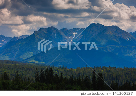 Sunlit green mountain valley with meadow, forested slopes in Zakopane Tatras mountains Sunlit green mountain valley with meadow, forested slopes in Zakopane Tatras mountains 141300127