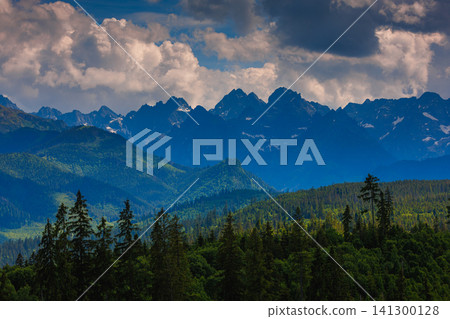 Sunlit green mountain valley with meadow, forested slopes in Zakopane Tatras mountains Sunlit green mountain valley with meadow, forested slopes in Zakopane Tatras mountains 141300128