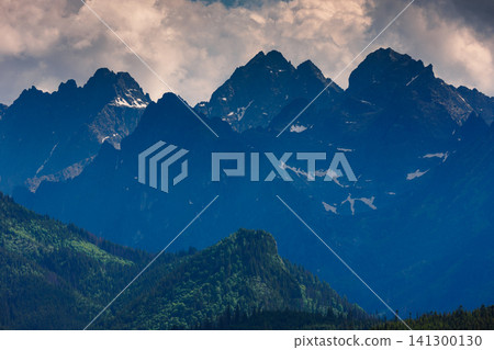 Sunlit green mountain valley with meadow, forested slopes in Zakopane Tatras mountains Sunlit green mountain valley with meadow, forested slopes in Zakopane Tatras mountains 141300130