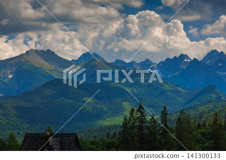 Sunlit green mountain valley with meadow, forested slopes in Zakopane Tatras mountains 141300133