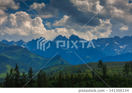 Sunlit green mountain valley with meadow, forested slopes in Zakopane Tatras mountains Sunlit green mountain valley with meadow, forested slopes in Zakopane Tatras mountains 141300134