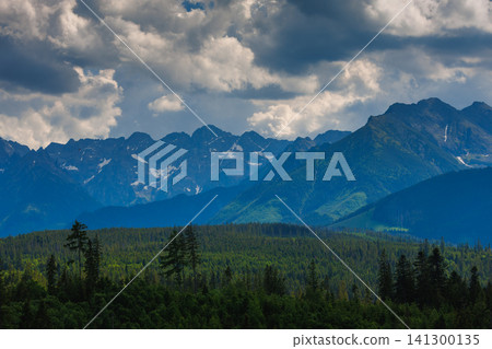 Sunlit green mountain valley with meadow, forested slopes in Zakopane Tatras mountains Sunlit green mountain valley with meadow, forested slopes in Zakopane Tatras mountains 141300135