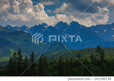 Sunlit green mountain valley with meadow, forested slopes in Zakopane Tatras mountains Sunlit green mountain valley with meadow, forested slopes in Zakopane Tatras mountains 141300136