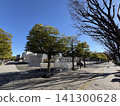 山下公園的噴泉廣場和秋葉 141300628