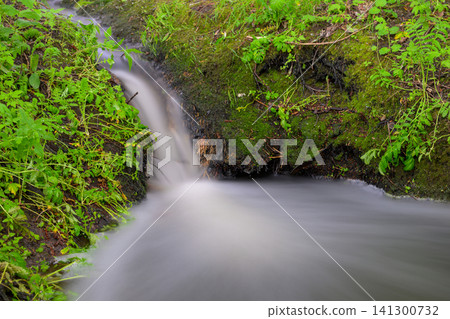 Freshwater flows over mossy rocks in a forest stream Freshwater flows over mossy rocks in a forest stream 141300732