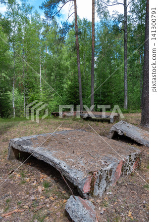 Rustic stone slabs lie in a forest clearing Rustic stone slabs lie in a forest clearing 141300791