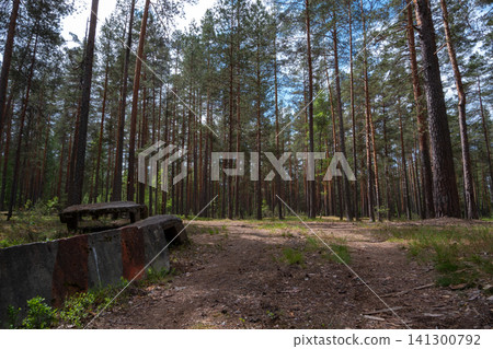 Old concrete structure sits in tall pine forest Old concrete structure sits in tall pine forest 141300792