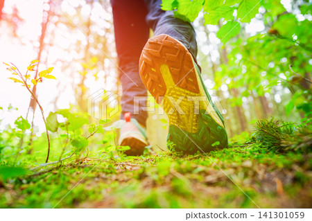 Hiking in sports shoes in forest trail. Sports sneakers for cross-country running. Hiking in sports shoes in forest trail. Sports sneakers for cross-country running. 141301059