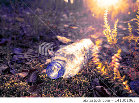 Plastic bottle thrown away in forest. Garbage in nature, reusable products. Rubbish thrown in forest Plastic bottle thrown away in forest. Garbage in nature, reusable products. Rubbish thrown in forest 141301065