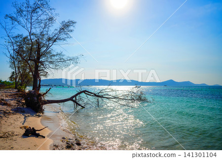Picturesque landscape on Phu Quoc Island in Vietnam. Tropical Rach Vem Starfish Beach Picturesque landscape on Phu Quoc Island in Vietnam. Tropical Rach Vem Starfish Beach 141301104