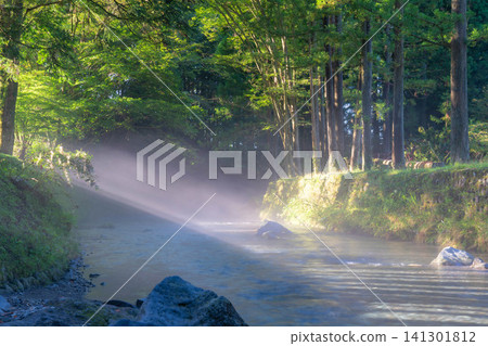 [Light Ray Material] Morning light rays appearing over the Gotomekigawa River in Fujinomiya City [Shizuoka Prefecture] 141301812