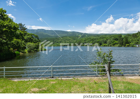 Lake Baraki in summer, Tsumagoi Village, Gunma Prefecture Lake Baraki in summer, Tsumagoi Village, Gunma Prefecture 141302015