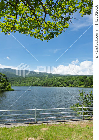 Lake Baraki in summer, Tsumagoi Village, Gunma Prefecture Lake Baraki in summer, Tsumagoi Village, Gunma Prefecture 141302016