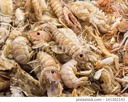 Mantis shrimps lay on ice at a seafood market in Spain. They are fresh and prepared for cooking. This scene shows a variety of seafood in a vibrant market. Mantis shrimps lay on ice at a seafood market in Spain. They are fresh and prepared for cooking. This scene shows a variety of seafood in a vibrant market. 141302143