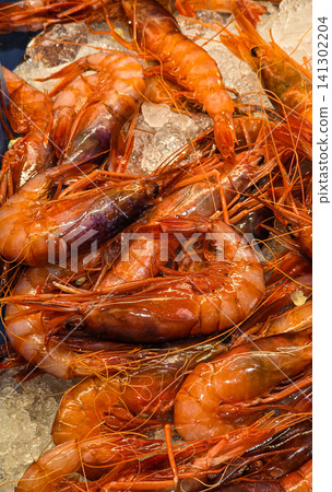 Premium raw red Mediterranean prawns sit on crushed ice at a seafood market in Spain. This setting shows the freshness of the produce available to customers. Premium raw red Mediterranean prawns sit on crushed ice at a seafood market in Spain. This setting shows the freshness of the produce available to customers. 141302204