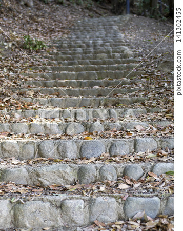 Stone steps on the Mayuyama mountain trail 141302455
