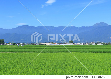 Summer Azumino and the Northern Alps Summer Azumino and the Northern Alps 141302660