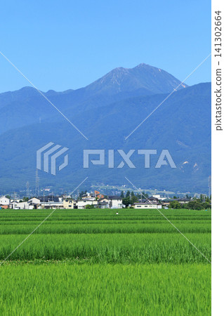 夏日安曇野與北阿爾卑斯山 夏日安曇野與北阿爾卑斯山 141302664