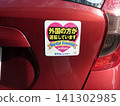 Car rental 141302985