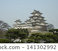 A castle 141302992