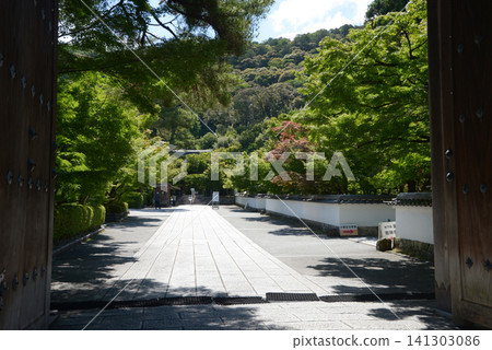 從永觀堂禪林寺正門眺望寺院庭院(地址:京都市左京區永觀堂町) 從永觀堂禪林寺正門眺望寺院庭院(地址:京都市左京區永觀堂町) 141303086