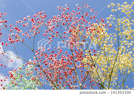 Blue sky and gypsophila 141303100