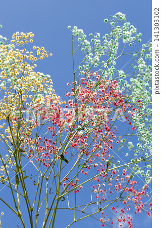 Blue sky and gypsophila 141303102