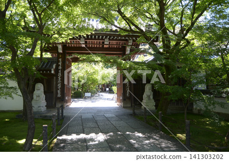 京都市左京區永堂町中門 永觀堂 禪林寺 京都市左京區永堂町中門 永觀堂 禪林寺 141303202