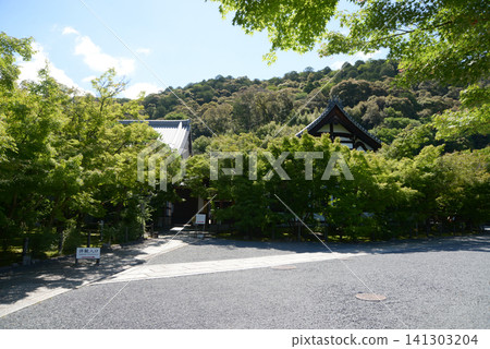 京都市左京區永觀堂町永觀堂禪林寺境內 141303204