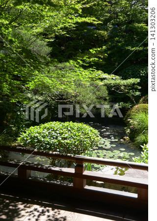 Eikan-do Zenrin-ji Temple, Hojo North Garden, Eikan-do-cho, Sakyo-ku, Kyoto City Eikan-do Zenrin-ji Temple, Hojo North Garden, Eikan-do-cho, Sakyo-ku, Kyoto City 141303206