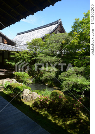京都市左京區永觀堂町北條北庭園 永觀堂 禪林寺 京都市左京區永觀堂町北條北庭園 永觀堂 禪林寺 141303209