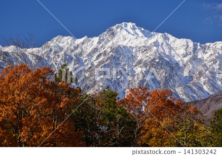 A view of the snow-capped peaks of Hakuba from Hakuba Village in autumn. A view of the snow-capped peaks of Hakuba from Hakuba Village in autumn. 141303242