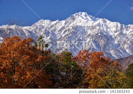 A view of the snow-capped peaks of Hakuba from Hakuba Village in autumn. A view of the snow-capped peaks of Hakuba from Hakuba Village in autumn. 141303243