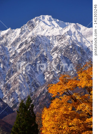 A view of the snow-capped peaks of Hakuba from Hakuba Village in autumn. A view of the snow-capped peaks of Hakuba from Hakuba Village in autumn. 141303246