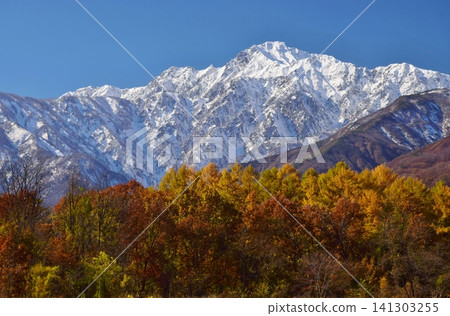 A view of the snow-capped peaks of Hakuba from Hakuba Village in autumn. A view of the snow-capped peaks of Hakuba from Hakuba Village in autumn. 141303255