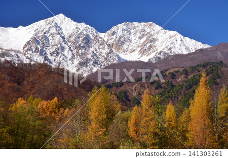 A view of the snow-capped peaks of Hakuba from Hakuba Village in autumn. A view of the snow-capped peaks of Hakuba from Hakuba Village in autumn. 141303261