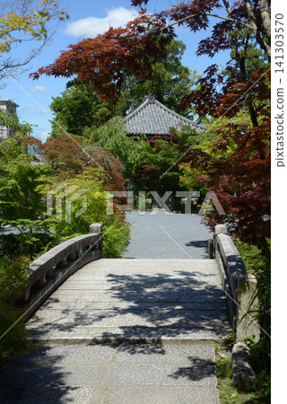 京都市左京區永觀堂町 永觀堂 禪林寺 極樂橋 141303570