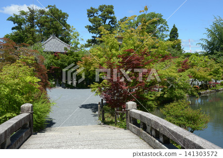 京都市左京區永觀堂町 永觀堂 禪林寺 極樂橋 京都市左京區永觀堂町 永觀堂 禪林寺 極樂橋 141303572