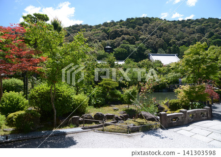京都市左京區永觀堂町永觀堂禪林寺境內 京都市左京區永觀堂町永觀堂禪林寺境內 141303598