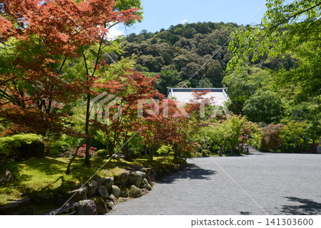 京都市左京區永觀堂町永觀堂禪林寺境內 141303600
