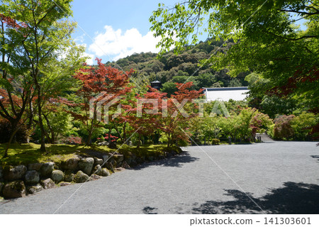 京都市左京區永觀堂町永觀堂禪林寺境內 141303601