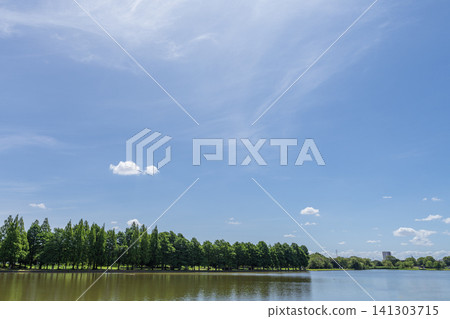 A view of a waterside park under a summer sky. A view of a waterside park under a summer sky. 141303715