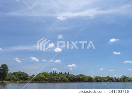 A summer waterside scene with a blue sky and white clouds. A summer waterside scene with a blue sky and white clouds. 141303716
