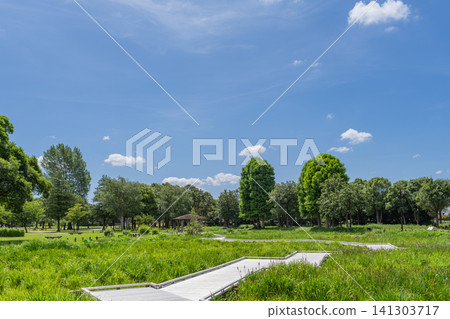 A waterside promenade stretching under the summer sky A waterside promenade stretching under the summer sky 141303717