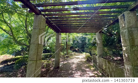 陽光透過翠綠的樹葉灑落在陰涼的平台上。 <岡崎中央公園(石之戶外博物館溫泉園)/愛知縣岡崎市> 陽光透過翠綠的樹葉灑落在陰涼的平台上。 <岡崎中央公園(石之戶外博物館溫泉園)/愛知縣岡崎市> 141303719