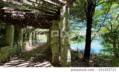 陽光透過翠綠的樹葉灑落在陰涼的平台上。 <岡崎中央公園(石之戶外博物館溫泉園)/愛知縣岡崎市> 陽光透過翠綠的樹葉灑落在陰涼的平台上。 <岡崎中央公園(石之戶外博物館溫泉園)/愛知縣岡崎市> 141303721