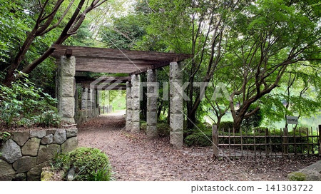 初秋時節,樹蔭下的書架 <岡崎中央公園(恩仙園,一座露天石刻博物館)/愛知縣岡崎市> 初秋時節,樹蔭下的書架 <岡崎中央公園(恩仙園,一座露天石刻博物館)/愛知縣岡崎市> 141303722